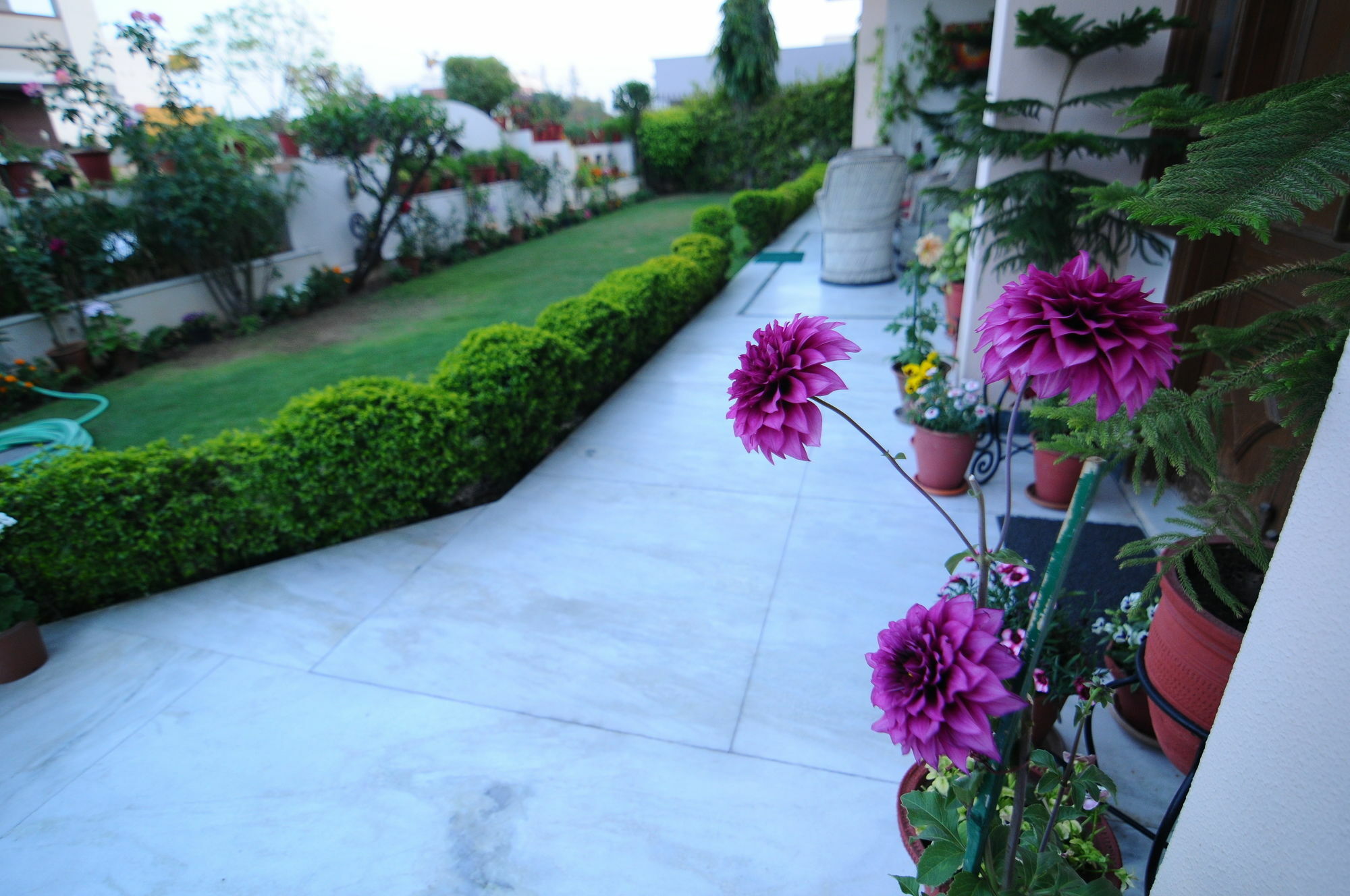 Jaipur Friendly Villa 外观 照片